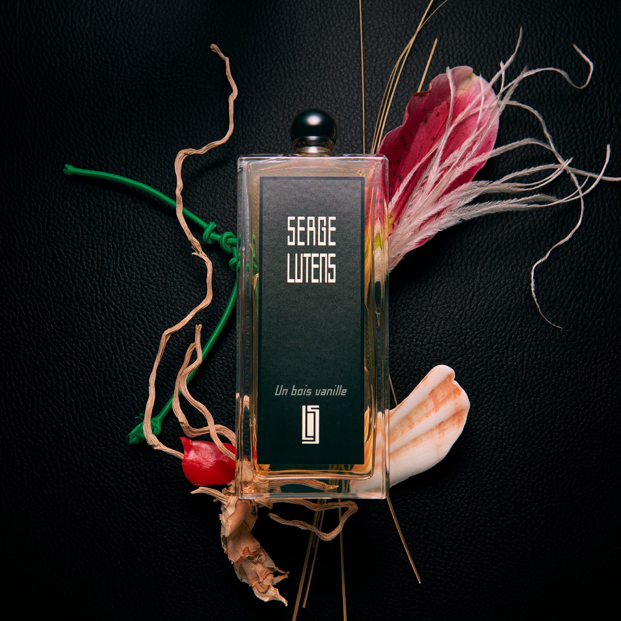 Serge lutens bois new arrivals